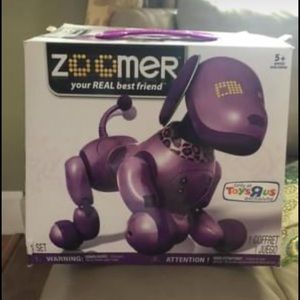 Zoomer